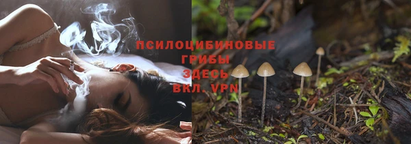 гашиш Касимов