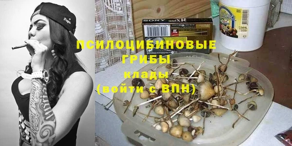 mdpv Карталы