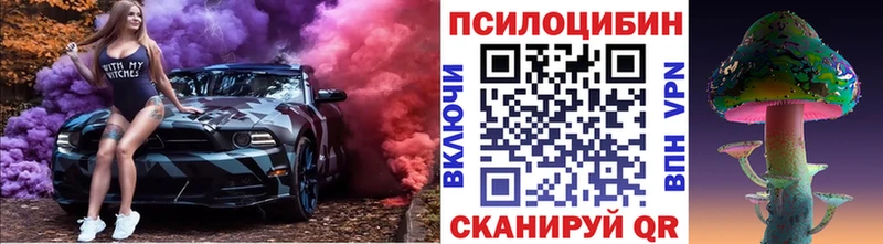Купить закладки  Верещагино  Псилоцибиновые грибы MAGIC MUSHROOMS 
